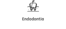 Logo Item