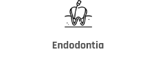 Logo Item